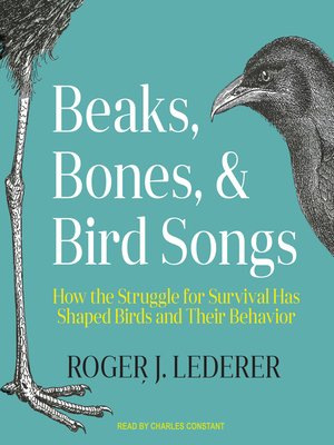 cover image of Beaks, Bones, and Bird Songs